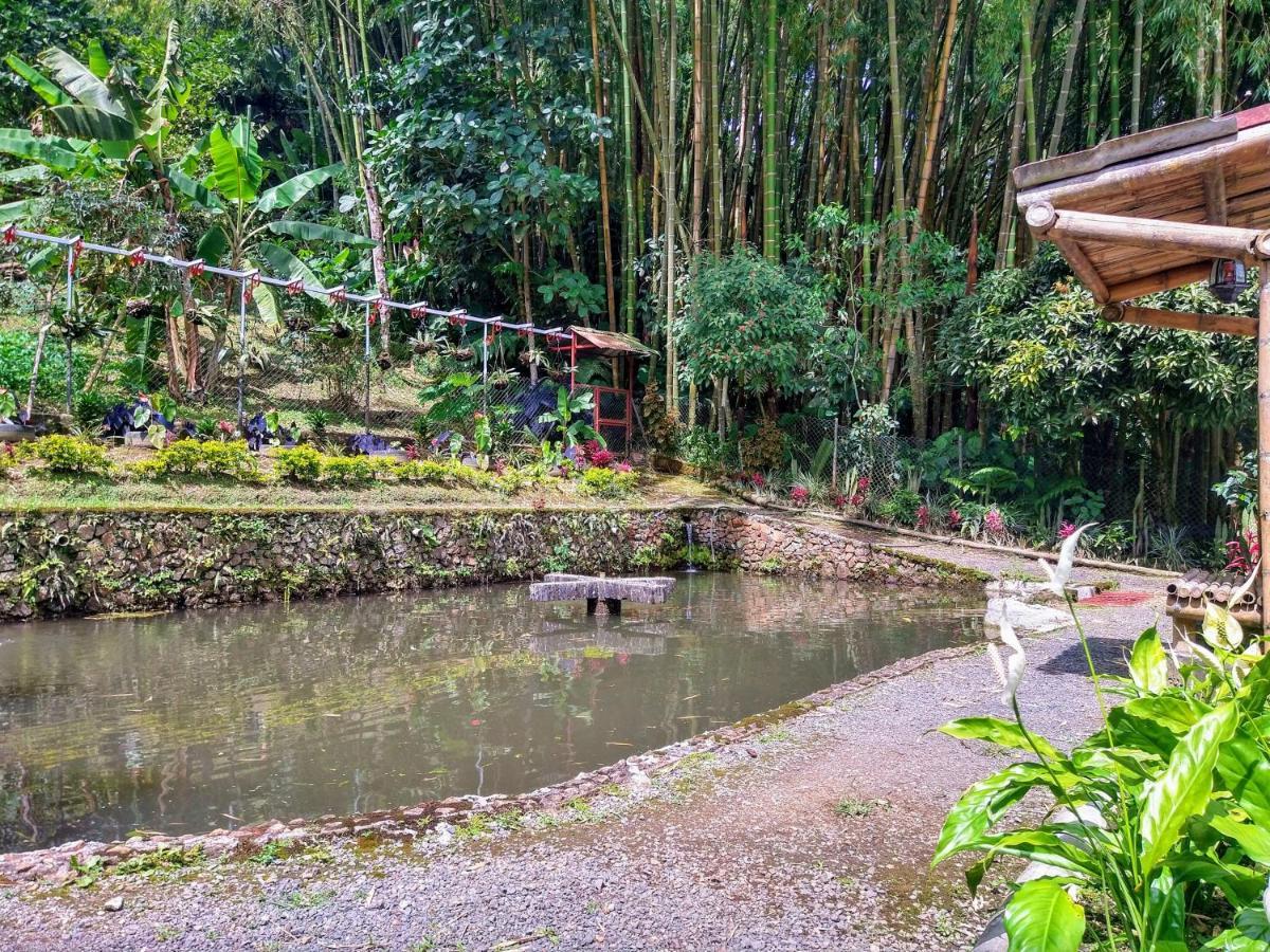 Finca Turistica Los Rosales Pereira Dış mekan fotoğraf