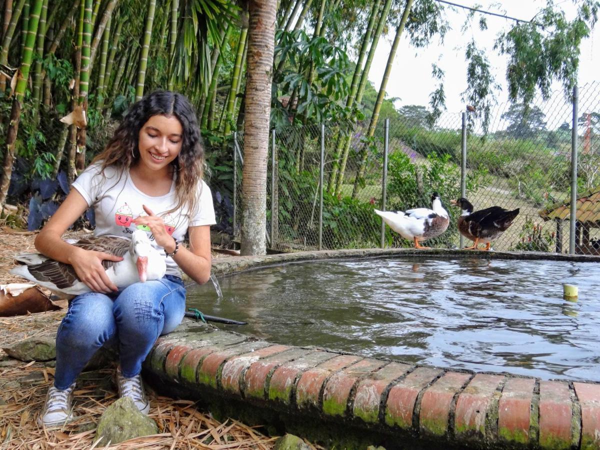 Finca Turistica Los Rosales Pereira Dış mekan fotoğraf